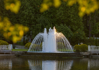 Fototapeta premium Fountain in the summer Park on the lake