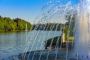 Fountain in the summer Park on the lake