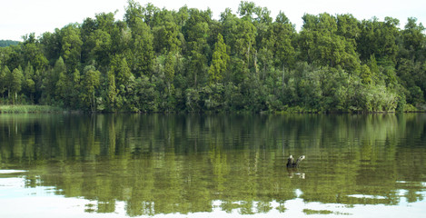 Lake Kaniere, Hokitika, West Coast, New Zealand