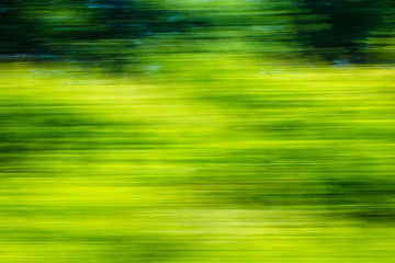 Nature in motion from the train window