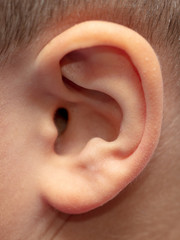 The boy's ear as a detailed photo