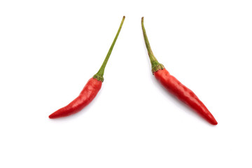 Two red chili peppers  on the white