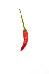 Chilli isolated on white
