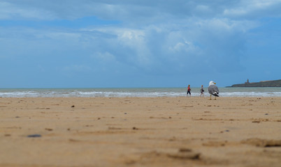 beach and sky view