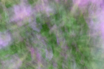 Blurred photo of flowers with movement as abstract background