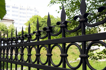 Metal fence with forged elements. Protection of the house