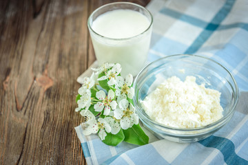 Cottage cheese and glass of milk with pear blossom on dark wooden background.