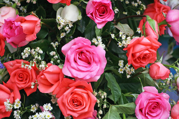 Colorful bouquet of roses pink red flower on background