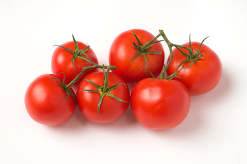 tomato white background