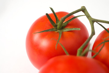 tomato white background