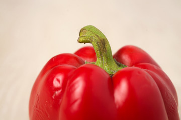 pepper white background