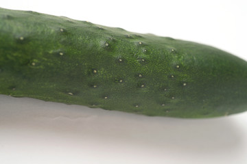 cucumber white background