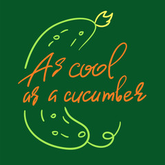 As cool as a cucumber - handwritten funny motivational quote. American slang, urban dictionary, English phraseologism, idiom. Print for inspiring poster, t-shirt, bag, cups, postcard, flyer, sticker.