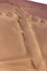 Ballestas Candelabrum Mark