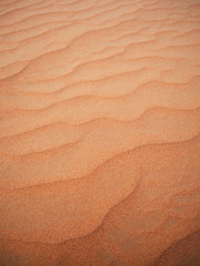 Sand in the desert. Abstract dune background. 