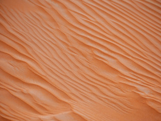 Sand in the desert. Abstract dune background. 