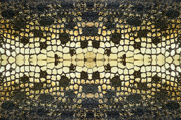Crocodile skin pattern for background.