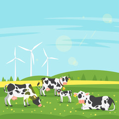 cows graze in a field 