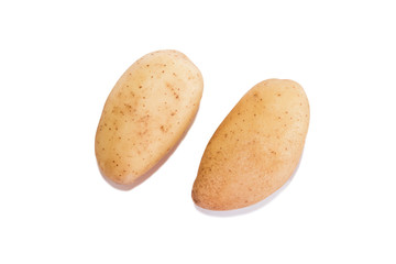Two tubers of fresh potatoes with light yellow peel, isolated on white background