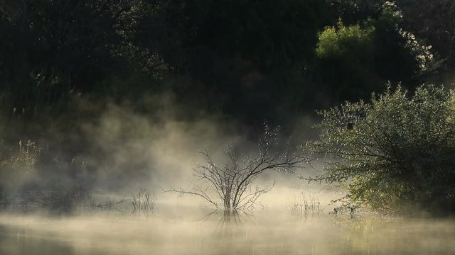 Scenic landscape of drifting mist over water at sunrise, South Africa