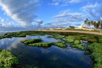 PRAIA DI IPITANGA, 2018