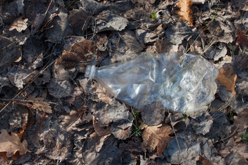 Plastic bottle littering forest areas