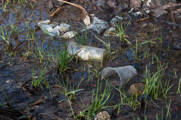 Plastic cup near the river
