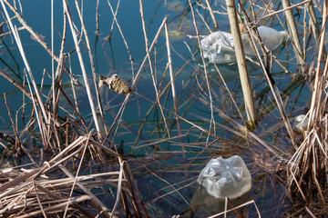 Plastic bottles floating in the water