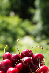 juicy handfull of strawberries on the background of nature