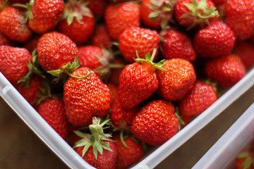 Strawberry. Strawberry close-up. Background of Food. Berries