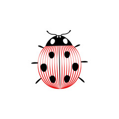 Black and white and red striped elegant ladybug insect, vector