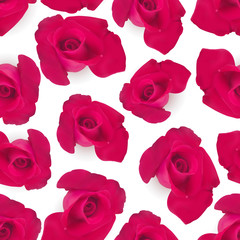 Vector red Rose seamless background