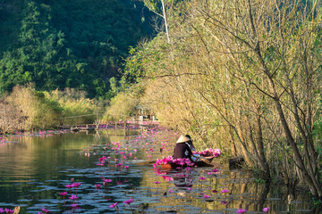 Fototapeta na wymiar Yen stream, with traditional boat on the way to Huong ancient pagoda. Blossoming water lily on the river. Vietnam beautiful landscape