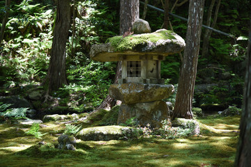三千院日本庭園