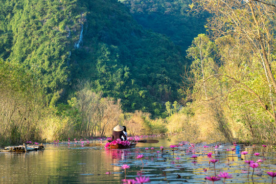 Yen stream, with traditional boat on the way to Huong ancient pagoda. Blossoming water lily on the river. Vietnam beautiful landscape