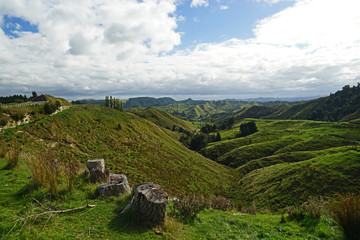 Landschaften in Neuseeland