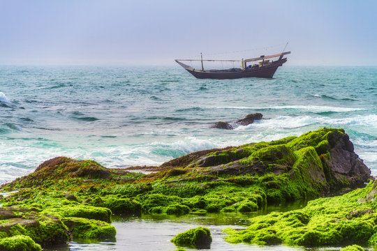 Oman Salalah Green Nature  