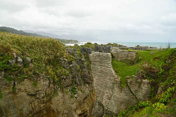 Fototapeta premium Pancake Rocks auf der Südinsel Neuseelands