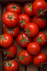 Raw tomatoes with water drops