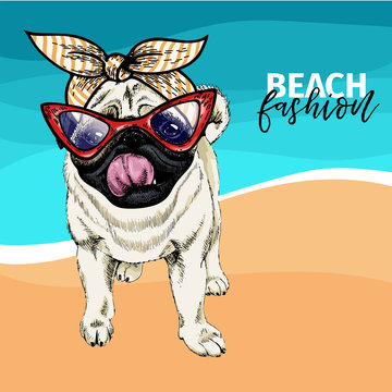 Vector portrait of pug dog wearing sunglasses and retro bandana. Summer fashion illustration. Vacation, sea, beach, ocean. Hand drawn pet portait. Poster, t-shirt print, holiday, postcard, summertime.