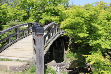 Fototapeta premium 日本 彦根城 玄宮園
