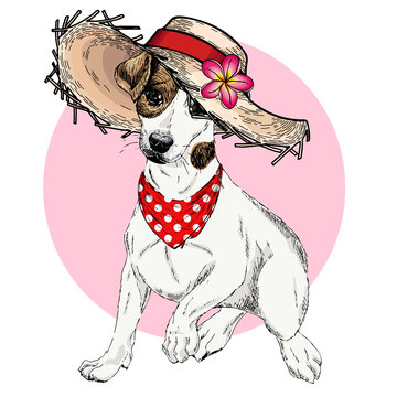 Vector portrait of Jack Russel terrier dog wearing straw hat, flower and polka dot bandana. Summer fashion illustration. Hand drawn pet portait. Poster, t-shirt print, holiday, postcard, summertime.