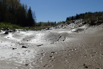 I really love that wet muddy surface shining in the sunlight