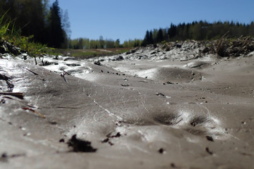 I really love that wet muddy surface shining in the sunlight