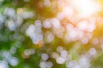 Abstract natural green color background Bokeh