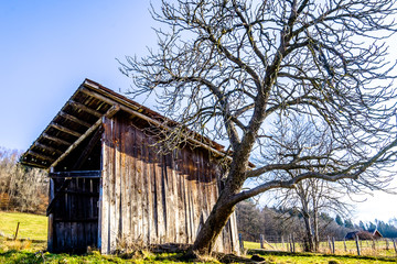 landscape murnauer moos - bavaria