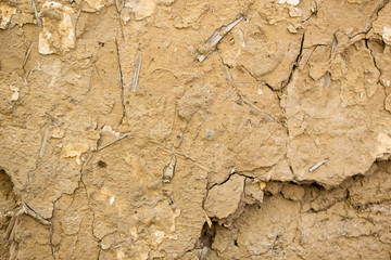 Texture of an old wall. 