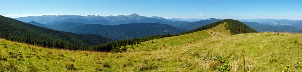 Fototapeta na wymiar Summer mountain view (Carpathian, Ukraine).