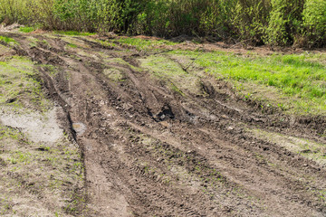 Dirty dirt road in the spring time of year. Spring landscape