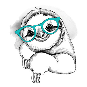 The image of the sloth in the glasses. Vector illustration.